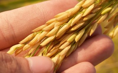 Le Snec-CFTC présent aux vœux du ministre de l’Agriculture